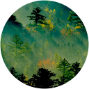 Ilma Hassan profile picture